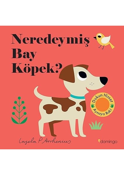 Zihinsel Gelişim Etkinlikleri - Seviye 2 + Robotik Kodlama Etkinliklerim + 8 Kitap Set