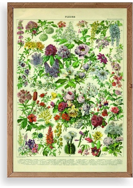 Çiçekler Ahşap Çerçeveli Tablo
