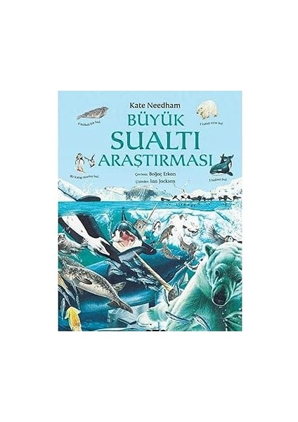 Mumi-Yaratıcı Boyama + Tavşan ile Kirpi + Büyük Sualtı Araştırması + 6 Kitap Set modelleri