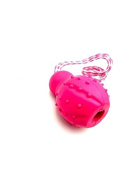 Tasma Market Ödül Maması Saklama Hazneli Zilli Diş Temizleme Köpek Eğitim Oyuncağı Mor