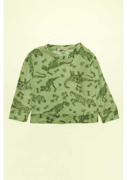 Dinazor Desenli Polar Erkek Çocuk Pijama Takımı fiyatları