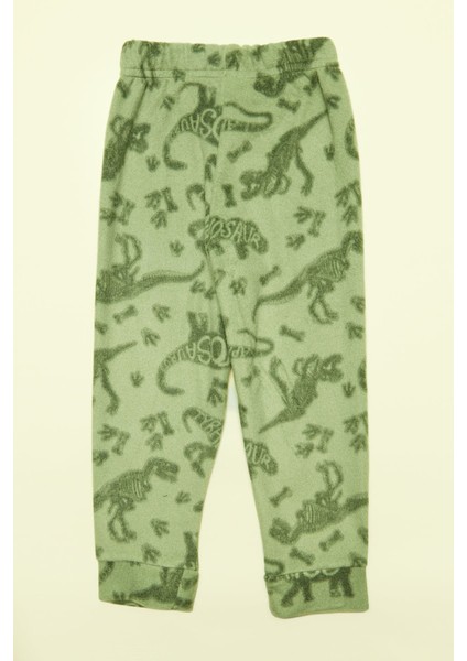 Dinazor Desenli Polar Erkek Çocuk Pijama Takımı indirimleri