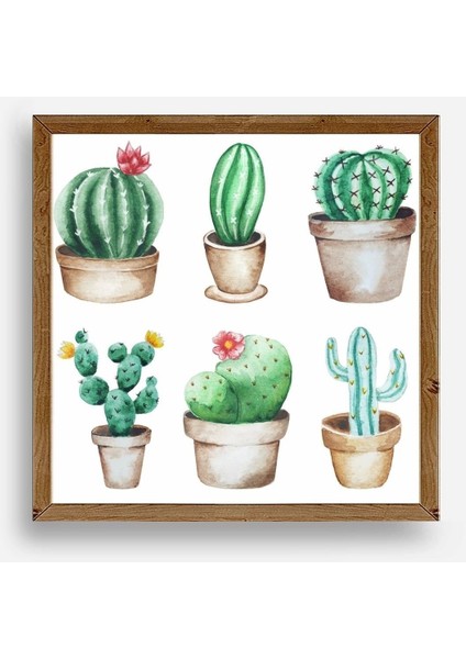 Kaktüs Ahşap Çerçeveli Tablo