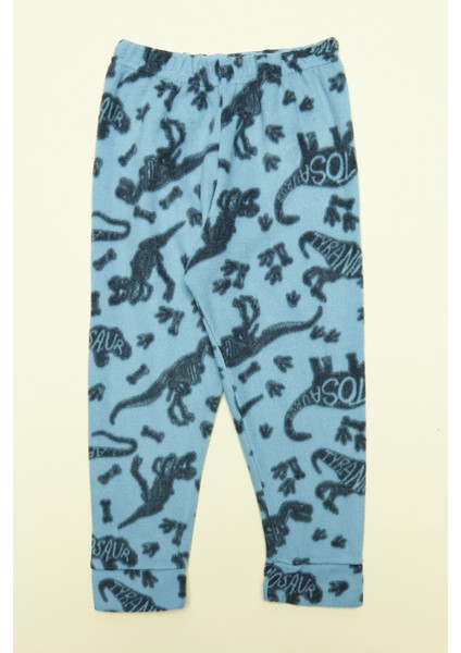 Dinazor Desenli Polar Erkek Çocuk Pijama Takımı fırsatları