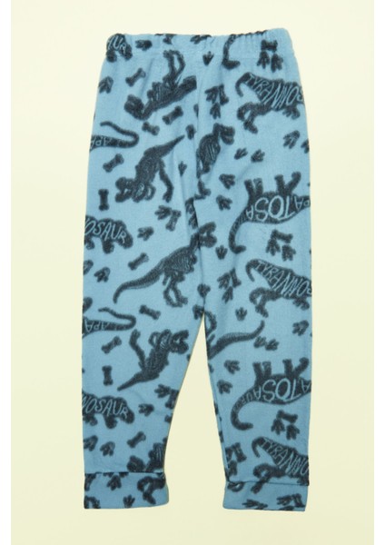 Dinazor Desenli Polar Erkek Çocuk Pijama Takımı indirimleri