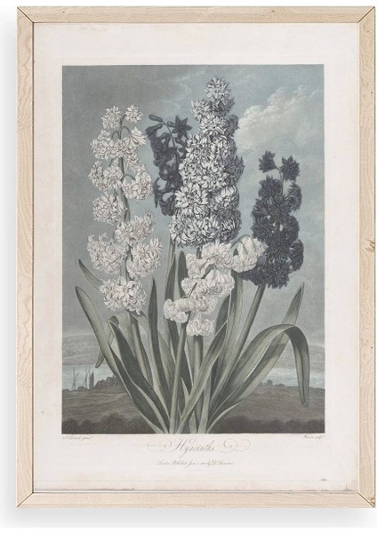 Legendarte Canvas Ahşap Çerçeveli Tablo