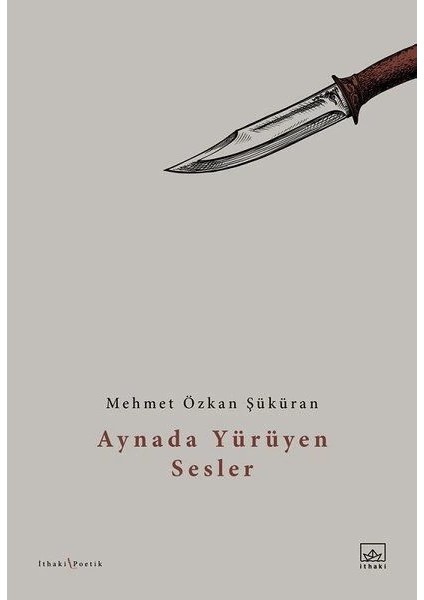 Aynada Yürüyen Sesler