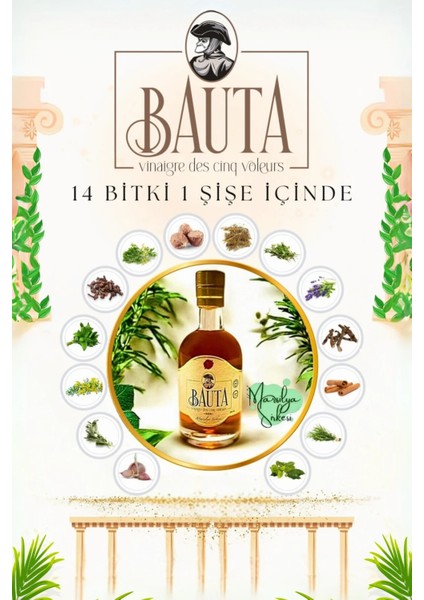 Marsilya Sirkesi (Beş Hırsız Sirkesi) modelleri