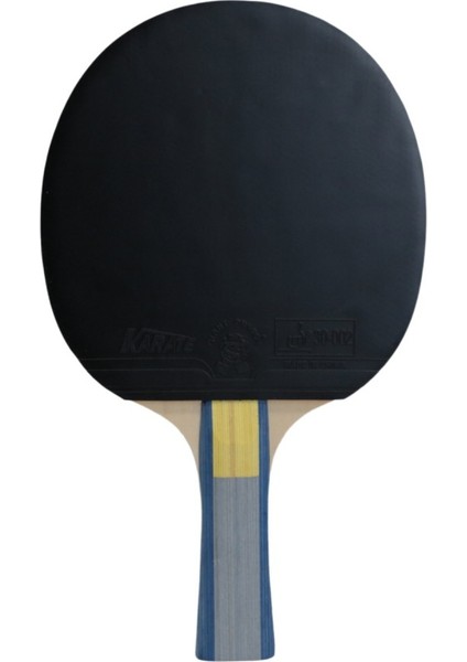 Hunter 4 Yıldız Masa Tenis Raketi modelleri