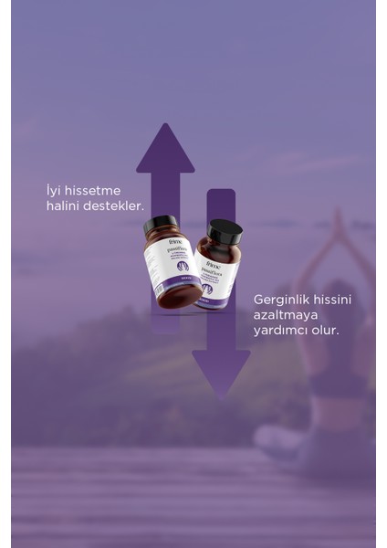 Mood, Antistress, Pasiflora, L Theanine, Postbiyotik Mix, Melisa Ekstresi