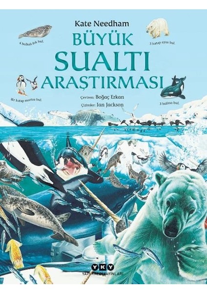 Büyük Sualtı Araştırması