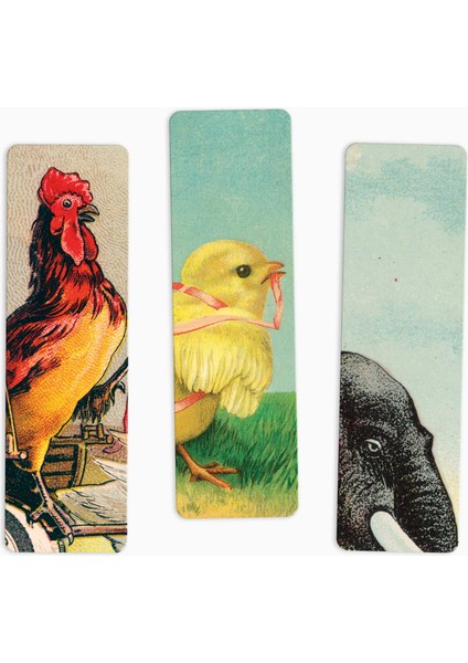 Horozlar ve Fil Ayraç Üçlüsü