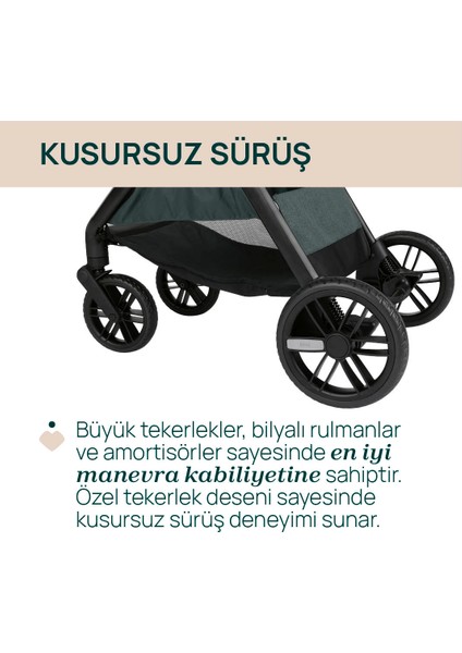 Bellagıo Bebek Arabası Fır Tree