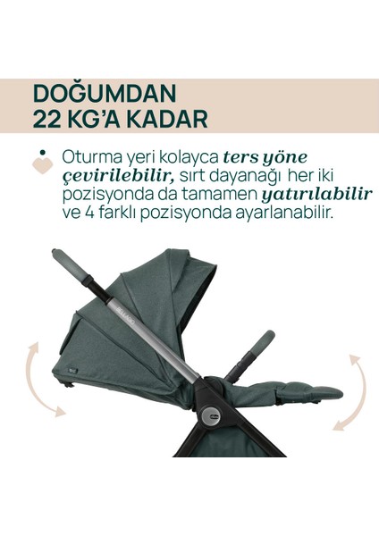 Bellagıo Bebek Arabası Fır Tree