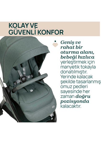 Bellagıo Bebek Arabası Fır Tree