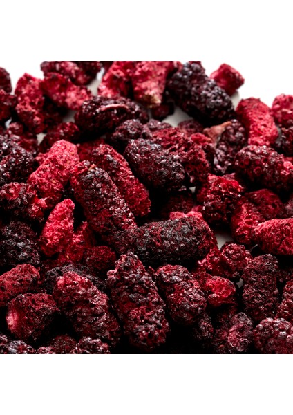 Karadut Kuru Meyve Cipsi 20 gr – İlave Şekersiz & Katkısız - Dondurularak Kurutulmuş Sağlıklı Atıştırmalık – Freeze Dried Karadut fırsatları