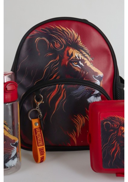 Dekomus Ile Lisanslı Galatasaray Küçük Boy 32 cm Anaokul ÇANTASI,500 ml Matara ve Beslenme Kabı Seti fiyatları