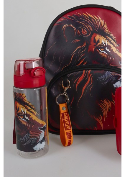 Dekomus Ile Lisanslı Galatasaray Küçük Boy 32 cm Anaokul ÇANTASI,500 ml Matara ve Beslenme Kabı Seti modelleri