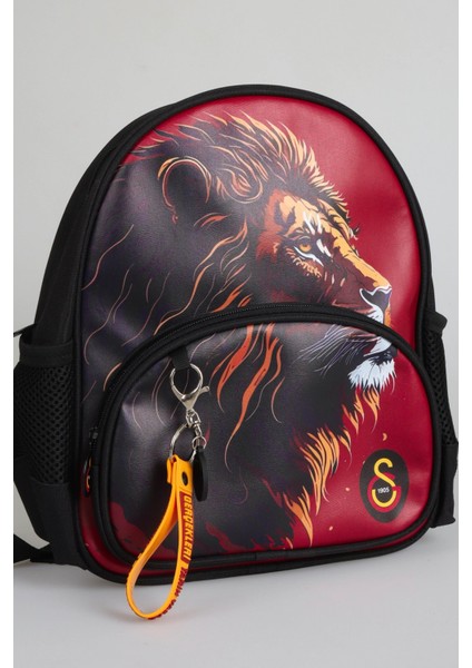 Dekomus Ile Lisanslı Galatasaray Küçük Boy 32 cm Anaokul ÇANTASI,500 ml Matara ve Beslenme Kabı Seti indirimleri