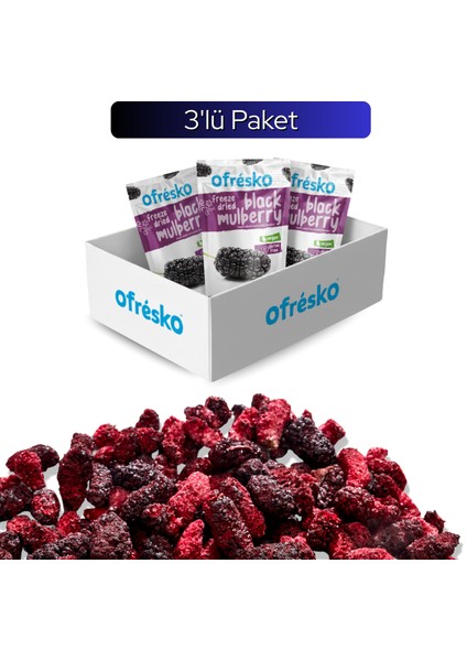 Karadut Kuru Meyve Cipsi 3'lü Paket - Katkısız & Şekersiz Dondurularak Kurutulmuş Karadut Kurusu