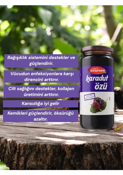 Özseven Karadut Özü 300GR fiyatları