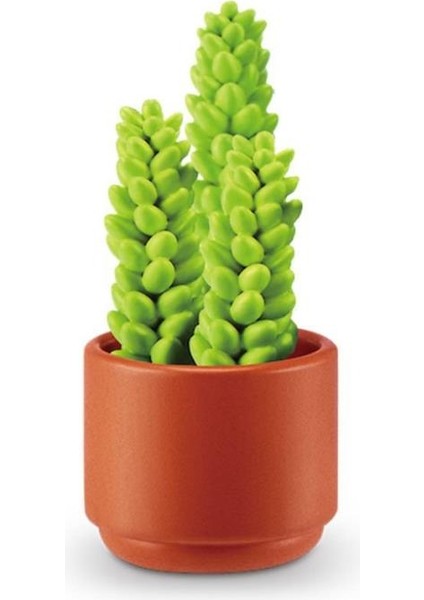 MN800010 - MN800000 Nessiworld Brands - Botanik Bahçe 77559 modelleri