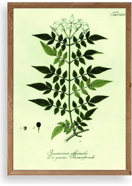 Yapraklar Ahşap Çerçeveli Tablo