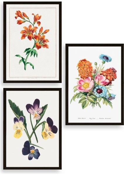 Çiçek Üçlü Ahşap Çerçeveli Tablo