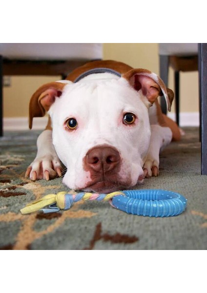 Dayanıklı Köpek Diş Kaşıyıcı ve Çiğneme Oyuncağı fırsatları