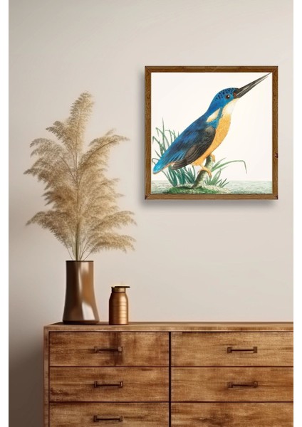 Kuş Ahşap Çerçeveli Tablo fiyatları