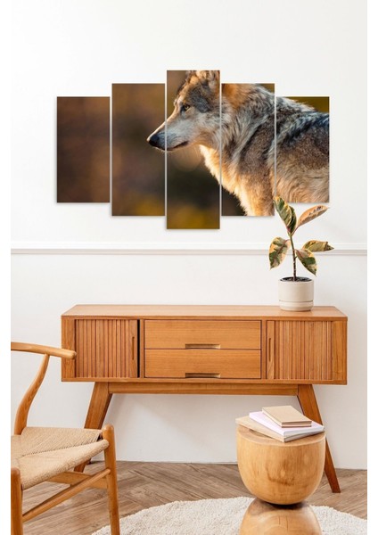 Kurt 5 Parçalı Mdf Tablo fiyatları