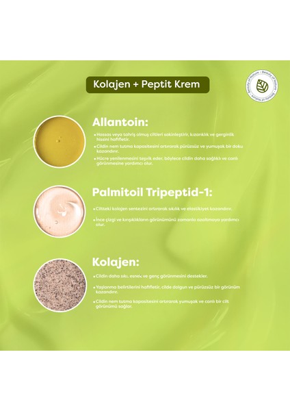 Kolajen + Peptit Krem - Collagen Peptide Cream fırsatları