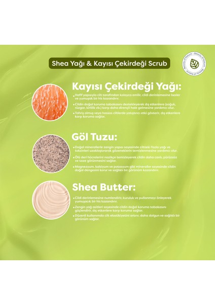 Shea Yağı & Kayısı Çekirdeği Scrub fırsatları