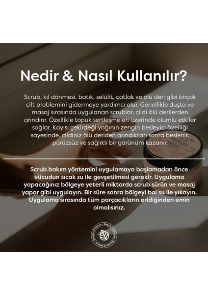 Shea Yağı & Kayısı Çekirdeği Scrub