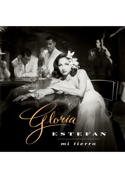 Gloria Estefan - Mi Tierra (180G) - Plak modelleri