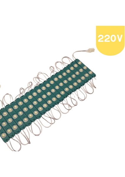 220 Volt 2 Watt 3 Lensli Yeşil 2835 Smd LED Modül IP65 5 Adet Modül