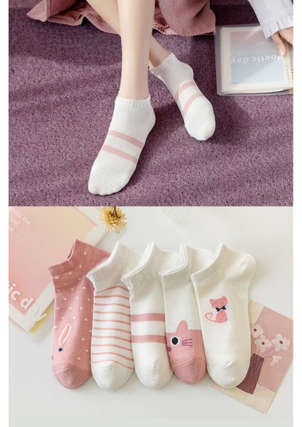 5'likedi Desen Kadın Çorap Kc 151011