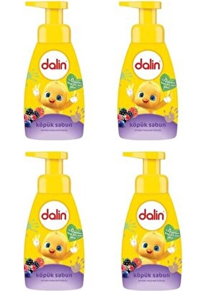 200ML Orman Meyveli Köpük Sabun 4 Adet Dermatolojik Test Edilmiş Hassas Ciltler İçin fiyatları