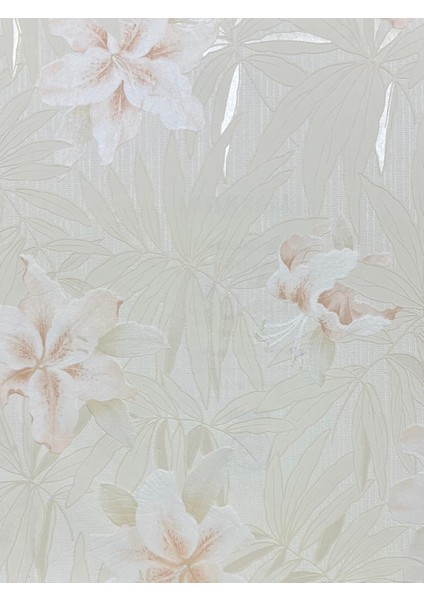 Krem Yapraklar Çiçekler Tropikal Duvar Kağıdı 669503