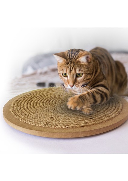 Yuvarlak Vantuzlu Kedi Tırmalama Tahtası