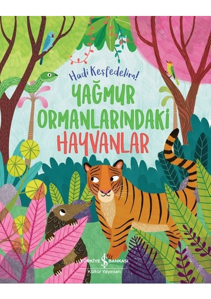 Yağmur Ormanlarındaki Hayvanlar – Hadi Keşfedelim!
