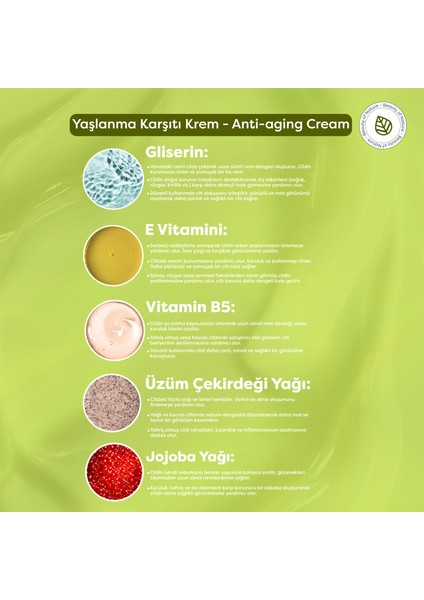 Yaşlanma Karşıtı Aydınlatıcı Krem - Anti Aging Cream fırsatları