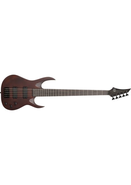 AB4.5DN Dark Natural 5 Telli Bas Gitar