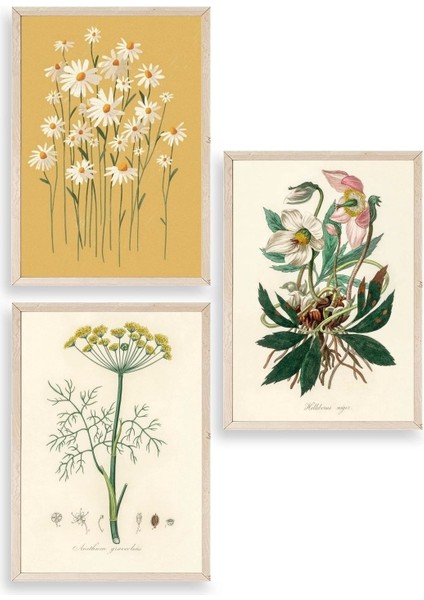 Çiçek Üçlü Ahşap Çerçeveli Tablo