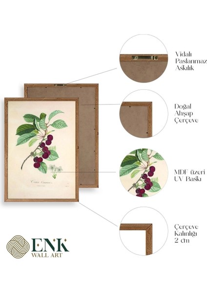 Meyveler Ahşap Çerçeveli Tablo fırsatları