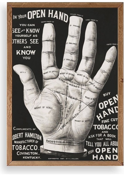 Avuç Okuma Rehberi Ahşap Çerçeveli Tablo