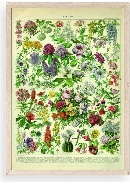 Çiçekler Ahşap Çerçeveli Tablo