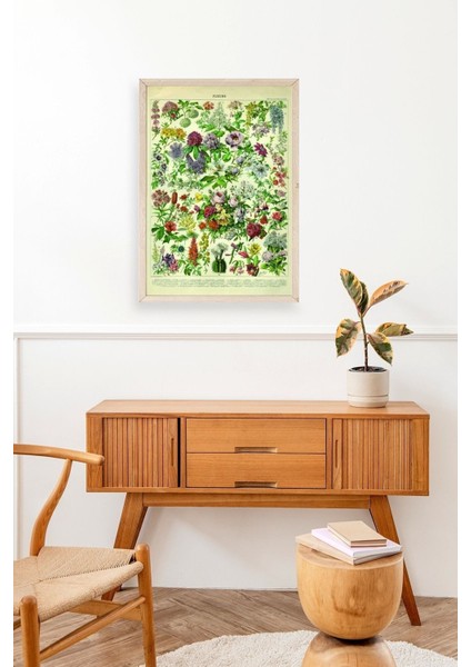 Çiçekler Ahşap Çerçeveli Tablo modelleri