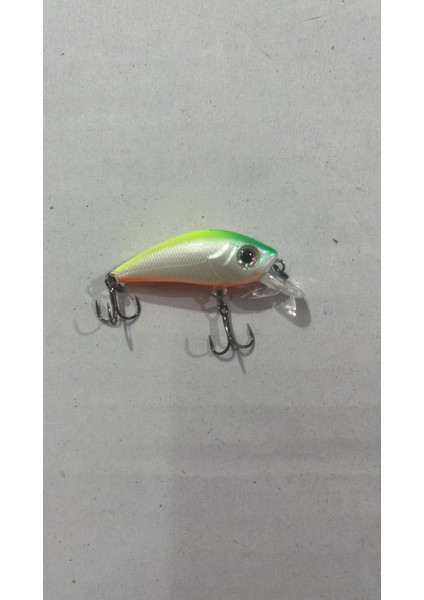 The Tiny Tough 35F-SR 2.4 G Maket Balık