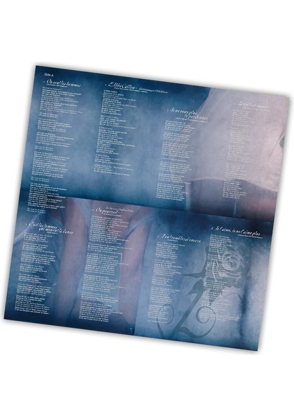 Patricia Kaas - Sexe Fort (180G) (Limited Numbered Edition) (Silver Vinyl) - Plak fırsatları